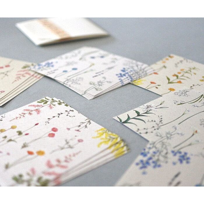 Mocolier Flowelltea Series Wildflowers Memo / Message Card Set