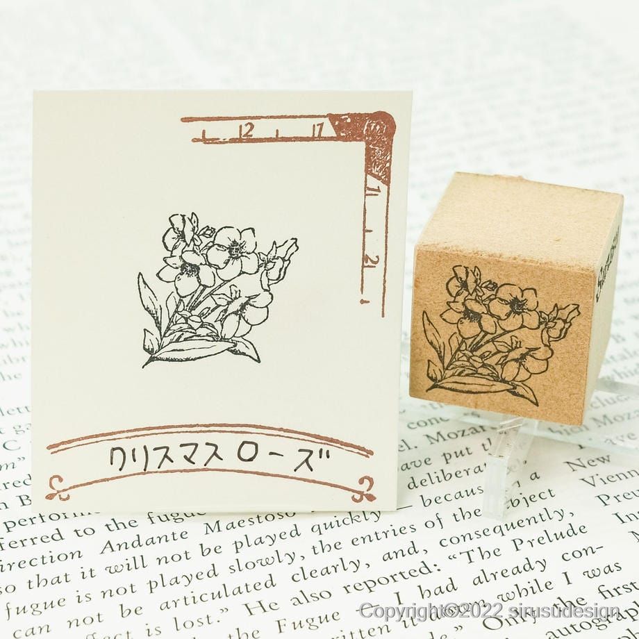 Sirusu Rubber Stamp – Christmas Rose