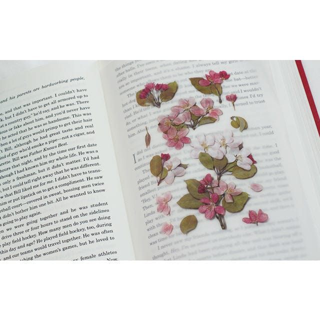 Appree Pressed Flower Sticker - Apple blossom