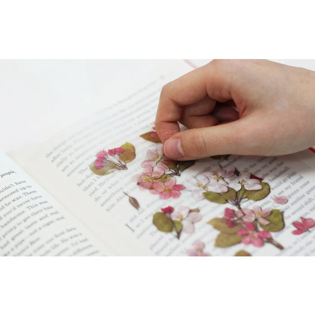 Appree Pressed Flower Sticker - Apple blossom