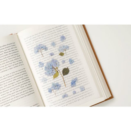 Appree Pressed Flower Sticker - Bigleaf hydrangea