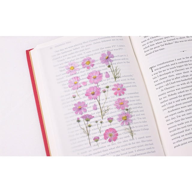 Appree Pressed Flower Sticker - Cosmos