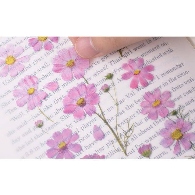 Appree Pressed Flower Sticker - Cosmos