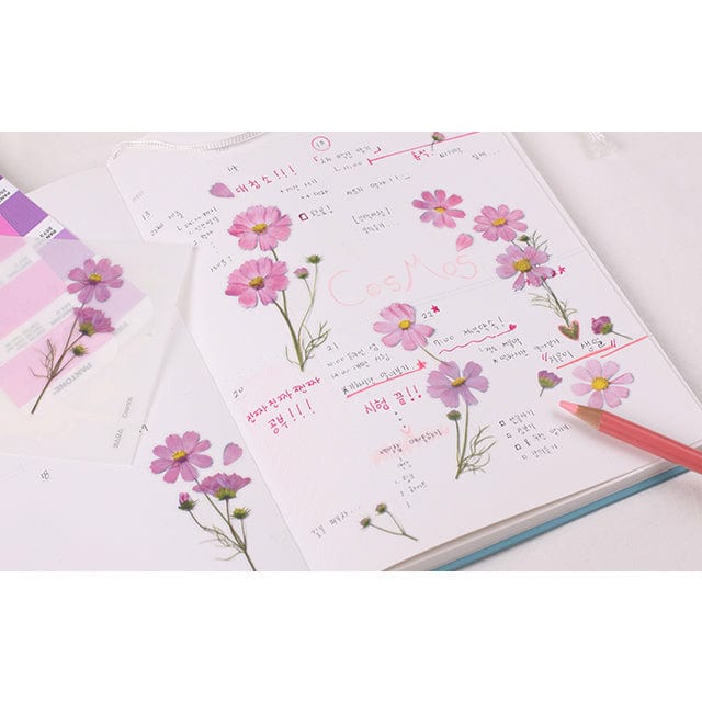 Appree Pressed Flower Sticker - Cosmos