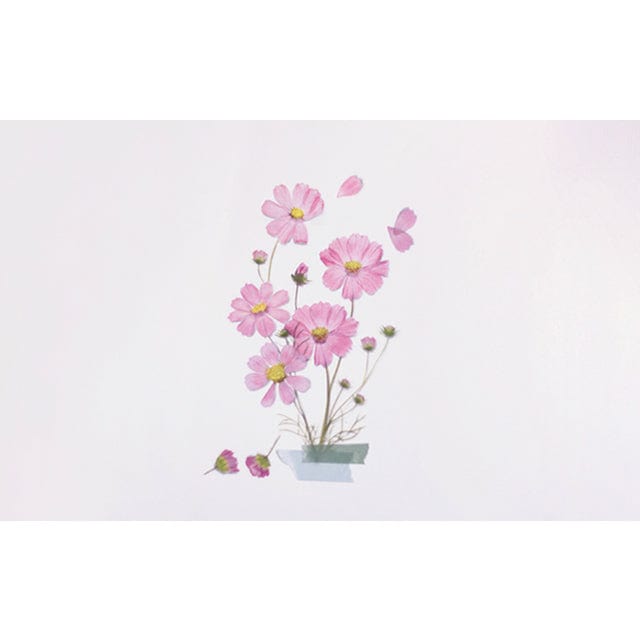 Appree Pressed Flower Sticker - Cosmos