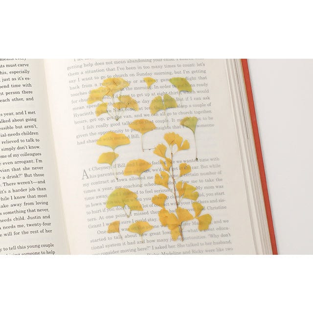 Appree Pressed Flower Sticker - Ginkgo