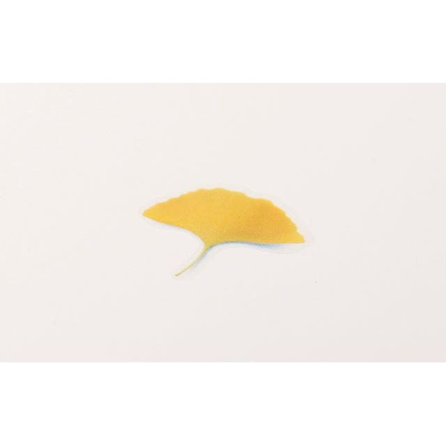 Appree Pressed Flower Sticker - Ginkgo