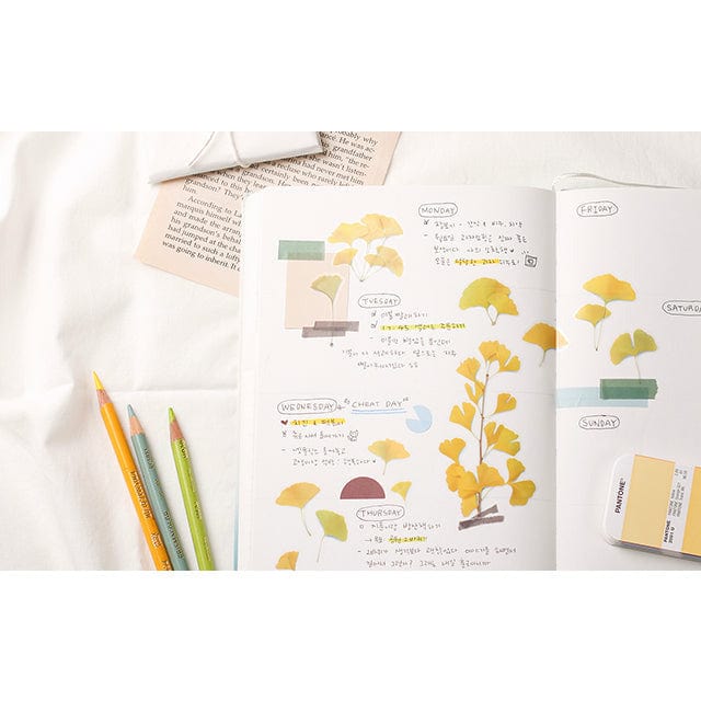 Appree Pressed Flower Sticker - Ginkgo