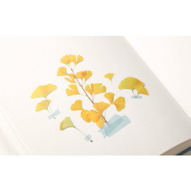 Appree Pressed Flower Sticker - Ginkgo