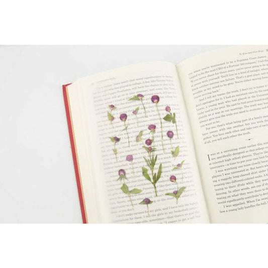 Appree Pressed Flower Sticker - Globe amaranth