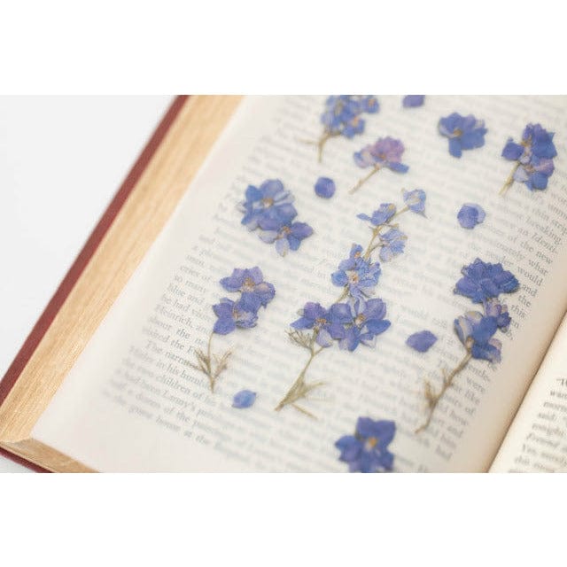 Appree Pressed Flower Sticker - Larkspur