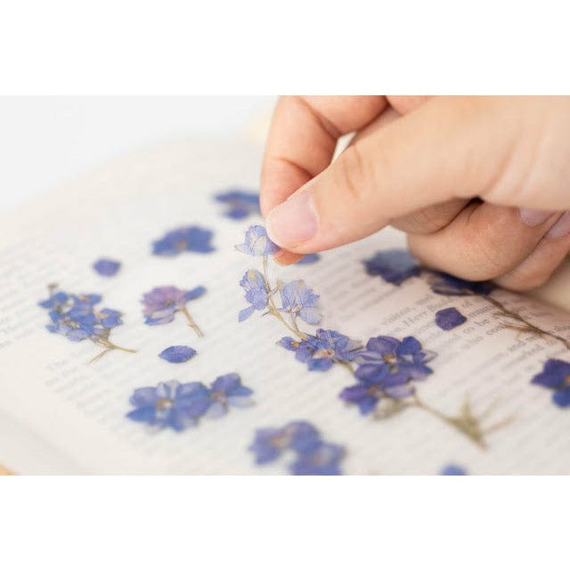 Appree Pressed Flower Sticker - Larkspur