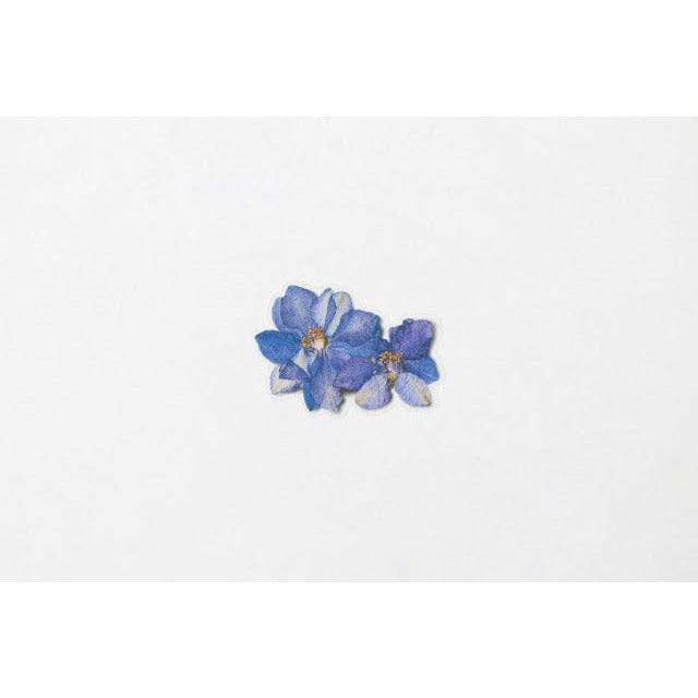 Appree Pressed Flower Sticker - Larkspur