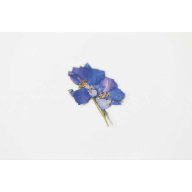 Appree Pressed Flower Sticker - Larkspur