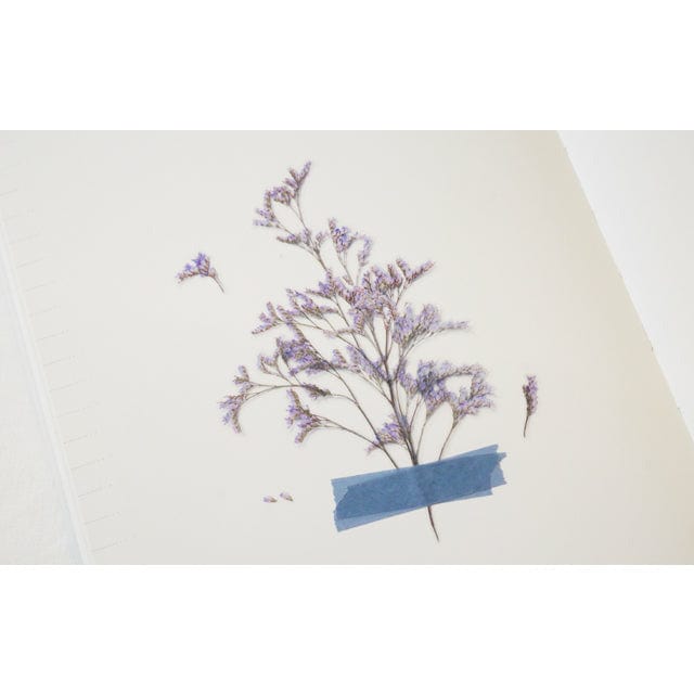 Appree Pressed Flower Sticker - Misty blue