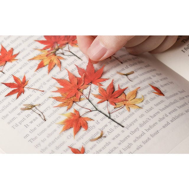 Appree Pressed Flower Sticker - Palmate maple