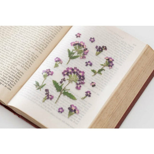 Appree Pressed Flower Sticker - Verbena